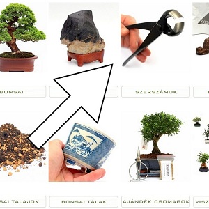 bonsai webaruhaz kategoriak